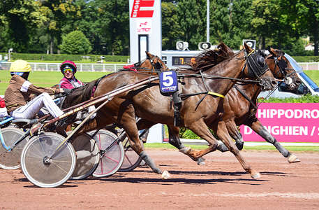 Actualités Hippiques